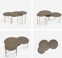 DORNEY COFFEE TABLE SET OF 2