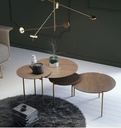 DORNEY COFFEE TABLE SET OF 2