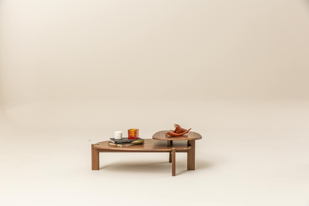 ATLAS COFFEE TABLE SET OF 2