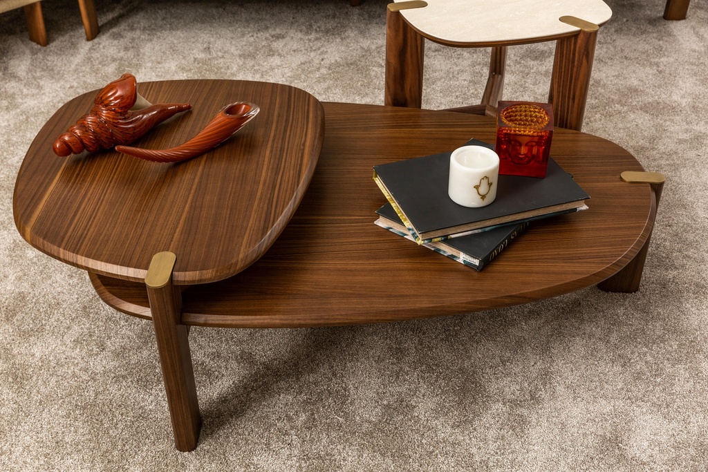 ATLAS COFFEE TABLE SET OF 2