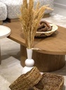 PALM COFFEE TABLE