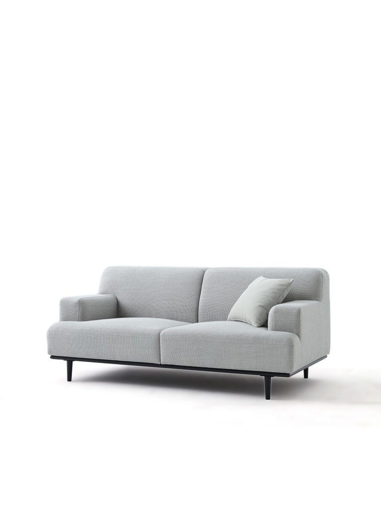 ZONE 2 SEATER SOFA