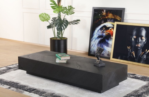 [31DCTBLK] COLORADO COFFEE TABLE